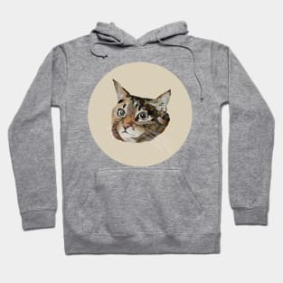 Ducky the Tabby Hoodie